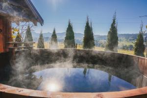 a pool of water with steam coming out of it at Domki u Adasia in Krośnica