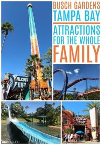 a collage of pictures of the famous amusement parks at Beach and Pool, what more do you need? in Clearwater Beach