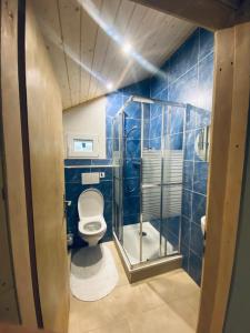 a blue bathroom with a toilet and a shower at Chalet Bärgstäger in Lauterbrunnen +25 photos