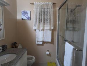 uma casa de banho com um chuveiro, um WC e um lavatório. em La Palmera em Saint Annʼs Bay