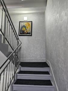Fotografija v galeriji nastanitve Akvarius v mestu Niš
