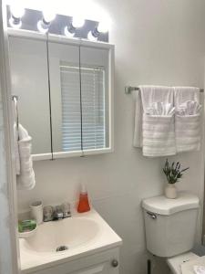 La salle de bains est pourvue d'un lavabo, de toilettes et d'un miroir. dans l'établissement Cozy 1 Br Apartment in Long Beach MS Jm3, à Long Beach