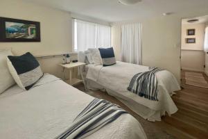 1 dormitorio con 2 camas y ventana en Catalina Island Cottage - Walk to Main St and Beach! en Avalon