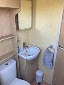 uma pequena casa de banho com lavatório e WC em Red Squirrel Holiday Home in the Countryside, 10 mins to Lligwy Beach em Llandyfrydog