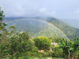 un arco iris sobre una montaña con árboles y bosques en Glamping Akaya, en Ibagué