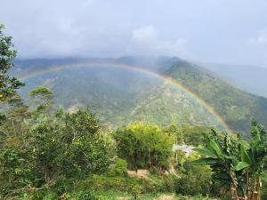 Gallery image of Glamping Akaya in Ibagué