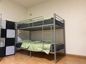 1 Schlafzimmer mit 2 Etagenbetten in einem Zimmer in der Unterkunft Accomodation in wuppertal in Wuppertal
