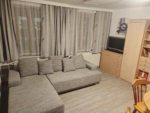 ein Wohnzimmer mit einem Sofa und einem TV in der Unterkunft Altstadthaus Marille mit Innenhofterrasse in Melk
