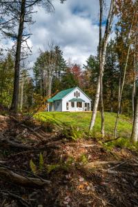 une maison blanche avec un toit vert dans les bois dans l'établissement Magical Retreat Cottage, Autumn Colors and Waterfalls - Vermont Getaway, à South Newfane
