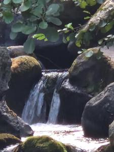 公寓周边自然景观