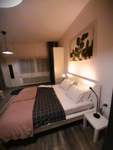 Postel nebo postele na pokoji v ubytování apartma Vila TARA