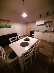 Kuchyň nebo kuchyňský kout v ubytování apartma Vila TARA