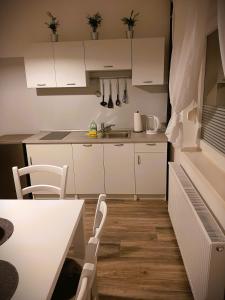 Kuchyň nebo kuchyňský kout v ubytování apartma Vila TARA