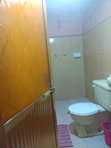 a bathroom with a toilet and a shower at Cálida habitación en casa hogareña. Ambiente familiar. in Teziutlán