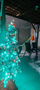 a blue christmas tree in a room with chairs at Hospedaria Temporarte in Piranhas