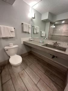 Tahitian Inn Boutique Hotel Tampa衛浴
