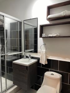 La salle de bains est pourvue de toilettes, d'un lavabo et d'une douche. dans l'établissement Hotel, Restaurante y Bar Sofmel, à Copan Ruinas