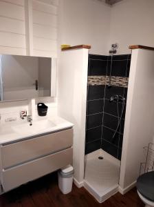 La salle de bains est pourvue d'un lavabo et d'une douche. dans l'établissement Chez Rustine et Pompette, à Saint-François