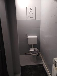 a small bathroom with a toilet and a light at Skitnica C.Chaplin in Koprivnica
