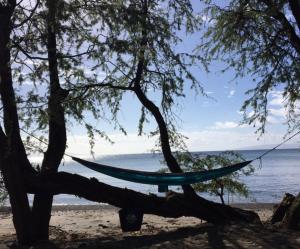 Gambar di galeri bagi Explore Maui's diverse campgrounds and uncover the island's beauty from fresh perspectives every day as you journey with Aloha Glamp's great jeep equipped with a rooftop tent di Paia