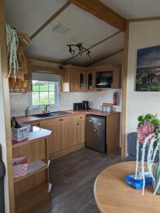 Dapur atau dapur kecil di Attymchugh Lodge