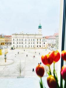 Amazing apartament in the heart of Kazimierz