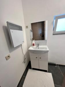 ein kleines Bad mit einem Waschbecken und einem Fenster in der Unterkunft Chez nous in Lüttich