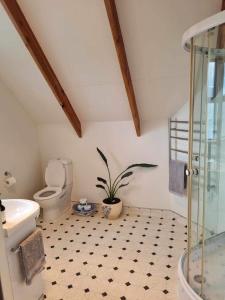 uma casa de banho com um WC e um vaso de plantas em Westholm Lodge em Harihari