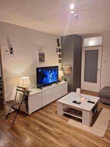 TV i/ili zabavni centar u objektu Apartment Jarun Comfort