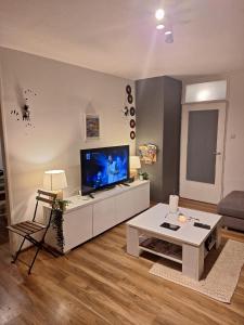 TV i/ili multimedijalni sistem u objektu Apartment Jarun Comfort