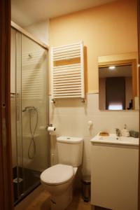 uma casa de banho com um WC, um chuveiro e um lavatório. em Casa-museo Genia Trigo em Sober