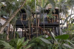 a tree house in the middle of the forest at El Refugio de Sayulita - Health and Wellness House in Sayulita