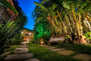 a garden with a bench and palm trees at night at Villa de Bemposta-Trancoso in Trancoso