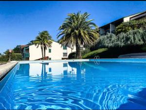 a blue swimming pool with palm trees and a house at Caporizon-Baillenia-T1 Vue Montagne - Piscine St Jean de luz in Saint-Jean-de-Luz