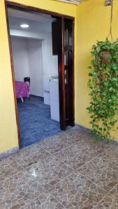 una habitación vacía con una pared amarilla y una planta en Hostel Stingray, en San Andrés