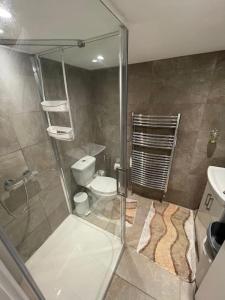e bagno con doccia, servizi igienici e lavandino. di Unique, Stylish, Non-smoking, Riverview Loft EnSuite for Rent a Erith