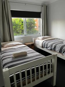 Cronulla Beach Elanora Gardens tesisinde bir odada yatak veya yataklar
