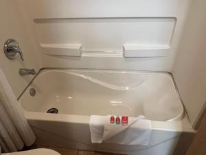 Koupelna v ubytování Econo Lodge Inn & Suites Walnut