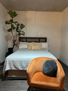 Moderno Loft Santa Ana Costa Rica في سانتا آنا: غرفة نوم مع سرير مع مسند وكرسي