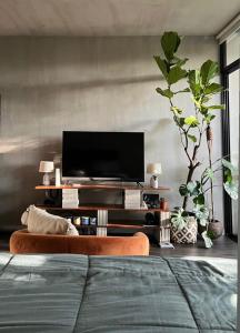 Moderno Loft Santa Ana Costa Rica في سانتا آنا: غرفة معيشة مع تلفزيون وأريكة