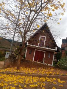 una casa con un árbol y hojas amarillas en el suelo en O CHALÉ, en Olímpio Noronha