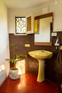baño con lavabo, espejo y planta en " Casa quinta "San Bernardo" Con Pileta y amplio jardín en Posadas