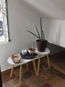 a table with a potted plant on top of it at Hospedaje con Jacqueline in Boca del Río