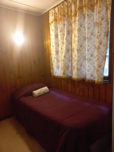 Postelja oz. postelje v sobi nastanitve Hostal Pelluco