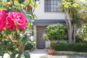 een voordeur van een huis met roze rozen bij Studio Escape in Hamilton Hill