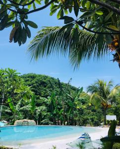 a swimming pool in the middle of a tropical forest at Wae Molas Hotel in Labuan Bajo