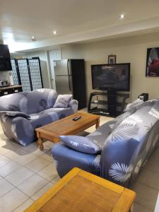 a living room with blue couches and a tv at Lovely Guest Entire Apartment in Ottawa