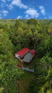 a building with a red roof in the middle of a forest at Rose Apartments in Anda