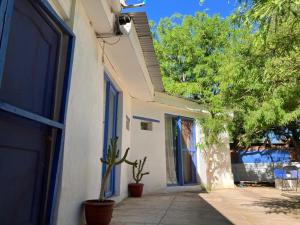 a door to a house with a potted plant next to it at Santorini house y Santorini house 2 in San Pedro de Atacama