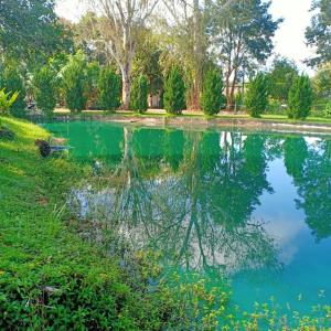 a pond in the middle of a park at Aurora Resort Chiangdao in Chiang Dao